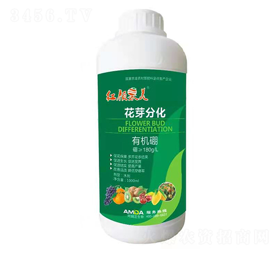 ��ѿ�ֻ�-�t���-��ķ�_