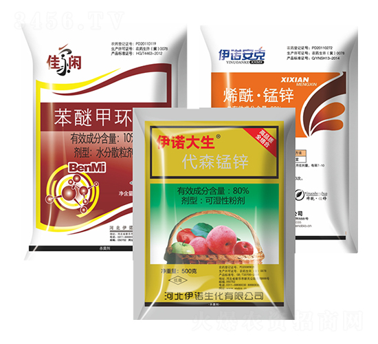 �Ѽ��e+���Z����+���Z����-�S̩�r�I