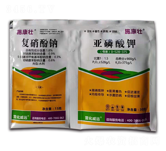 �������c+�������-ʩ����-�滯���h