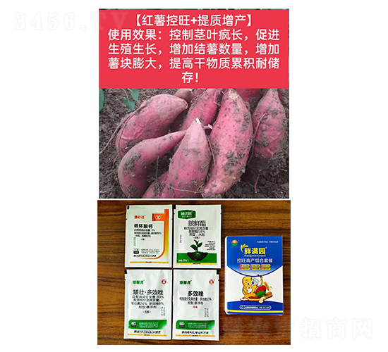 ���t������+���|���a��-�֝M�@-�Z�M��