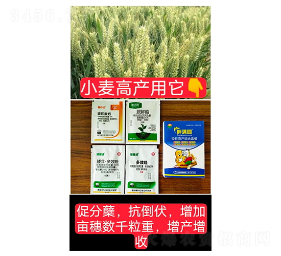 �����߮a�M���ײͣ�С�����ã�-�֝M�@-�Z�M��