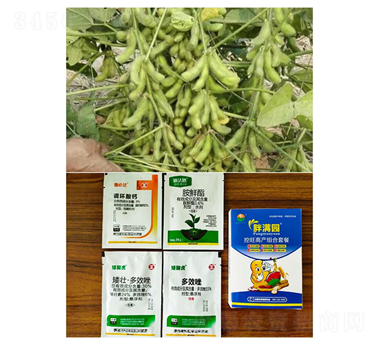 �����߮a�M���ײͣ����ǌ��ã�-�֝M�@-�Z�M��