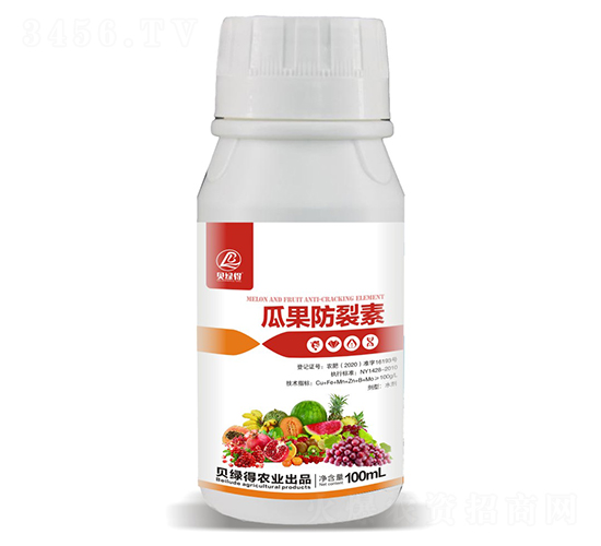 �Ϲ�������-ؐ�G��