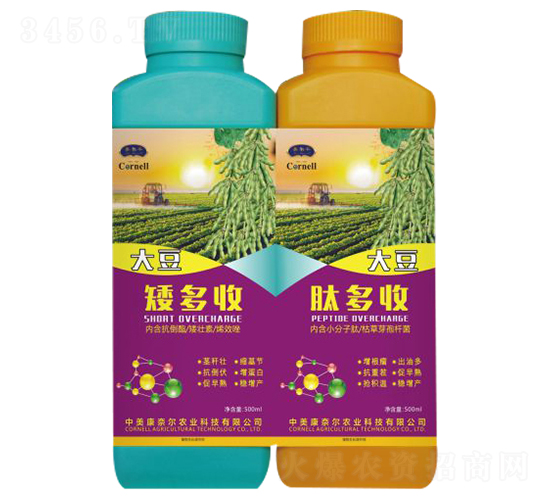 �����a(ch��n)�ײ�-�����S-���Π�