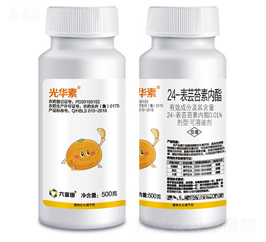 24-���|̦�؃���-���A��-������