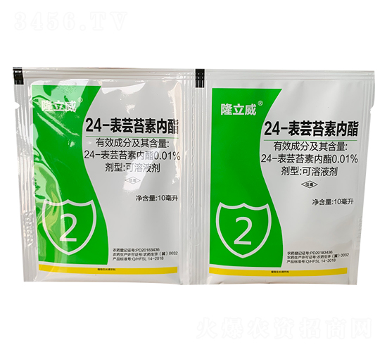 24-���|̦�؃���-¡����-�Z�_��