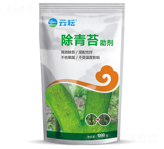 ����̦����-����