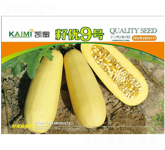 �у�(y��u)9̖(h��o)-�����J�N��-����N�I(y��)