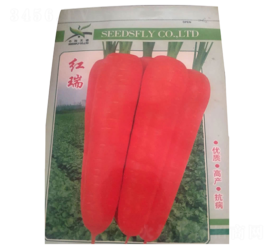 �t��-�t�}���N��-����N�I