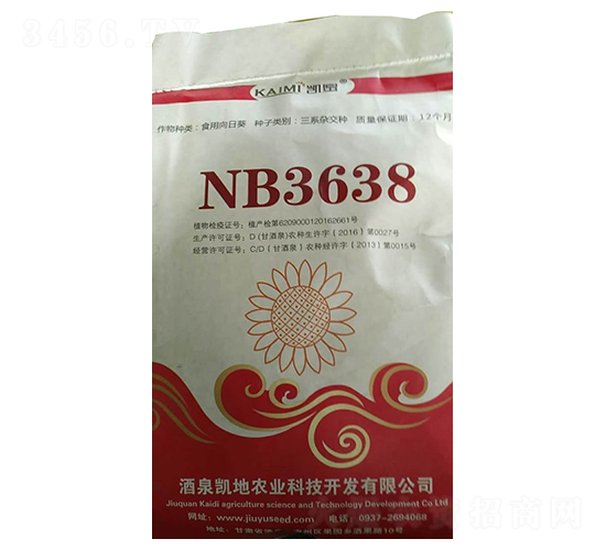 NB3638���տ��N��-����N�I