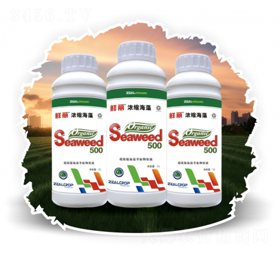 超濃縮海藻萃取物原液-鮮麗-勢能作物