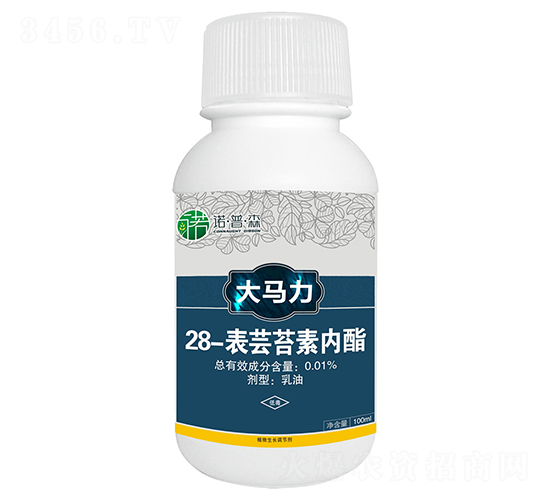 28-���|̦�؃���-���R��-�Z��ɭ