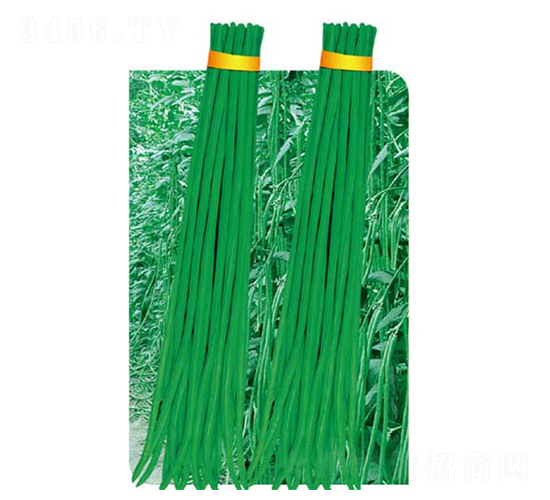 �����L��-���ǷN��-�߶˷N�I