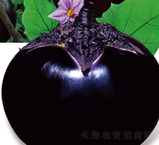 ���µ�һ������-���ӷN��-�߶˷N�I