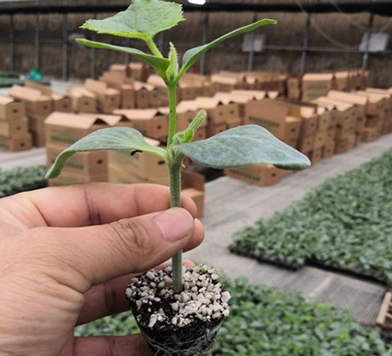 ʥ��89�S��-�S�ϷN��-�A�~�N�I