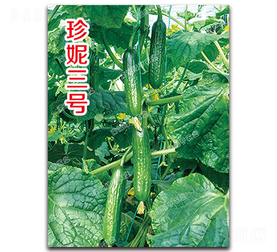 ������̖(h��o)-С�S�ϷN��-�ϰľG��