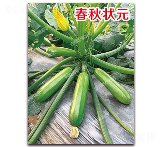 �����Ԫ-�����J�N��-�ϰľG��