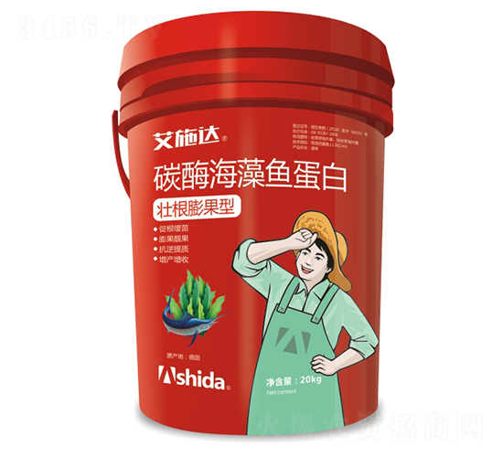 ̼ø�����~����-��ʩ�_