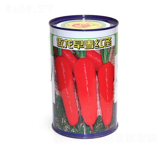 �����ؼ����t-�t�}���N��-����