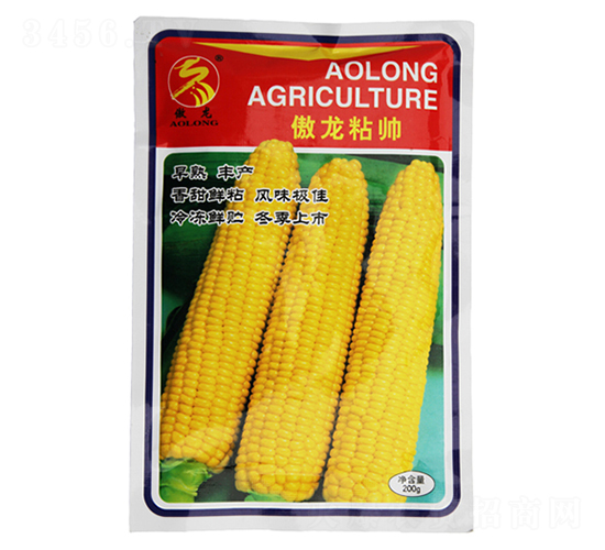 ����ճ��-���׷N��-����