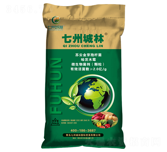 �����͹��ܷ�-���ݳ���