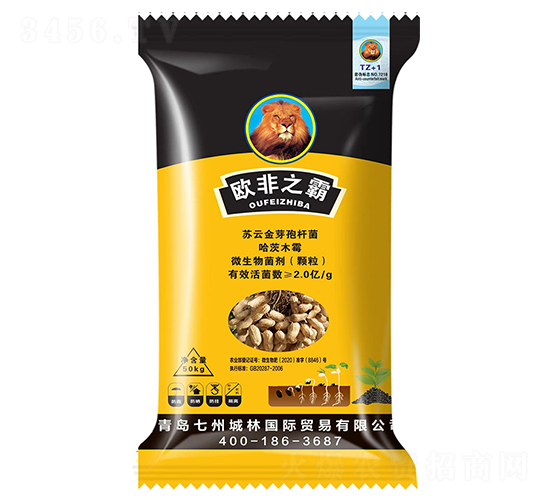 �������طN��-�W��֮��-���ݳ���