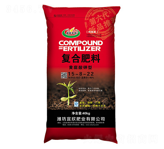 �S������͏ͺϷ���15-8-22-�����S�r