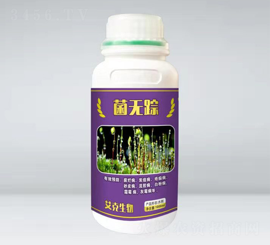 ���o(w��)ۙ��ƿ��-��������