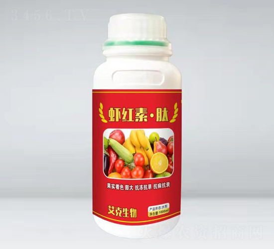 �r�t�ء��ģ�ƿ��-��������