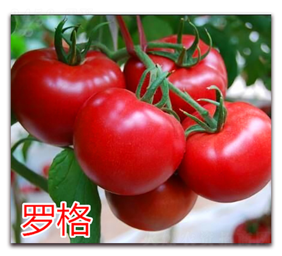 �_��-�۹����ѷN��-�f(w��n)���r(n��ng)�I(y��)