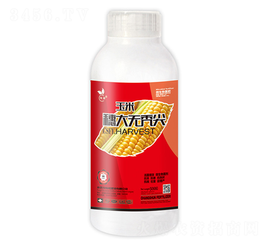 �������o(w��)�d��-��˲