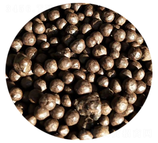 ���{�w�����������-�sɭ����