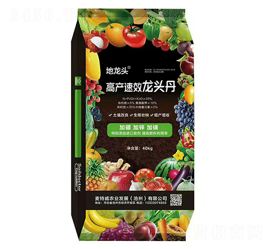 �߮a��Ч���^��-�����^-������