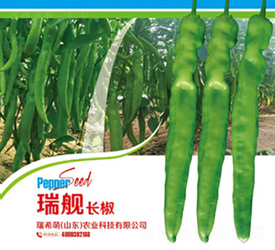 ��Ş�L��-�����N��-��ϣ��