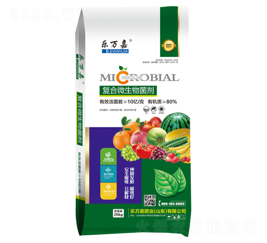 �ͺ�΢�������-���f��