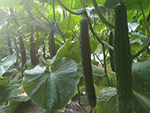 ������89-�S�ϷN��-���N�I