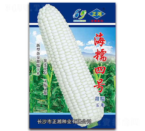 ��Ŵ��̖-Ŵ���׷N��-����N�I