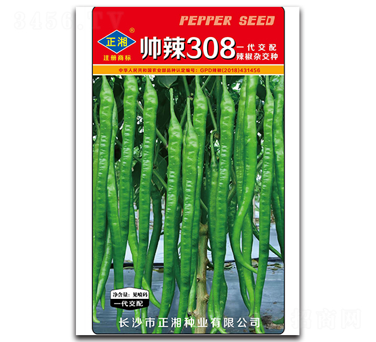 ����308���ࣩ-�����N��-����N�I