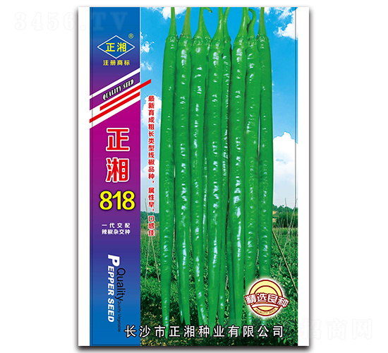 ����818-�����N��-����N�I