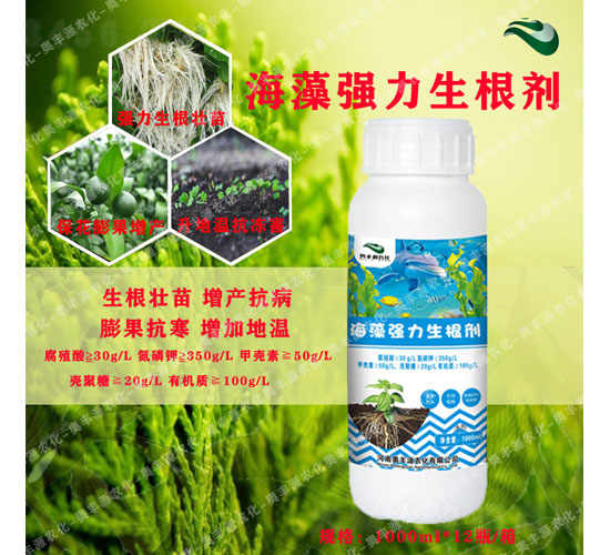 ���及��������-�W�SԴ