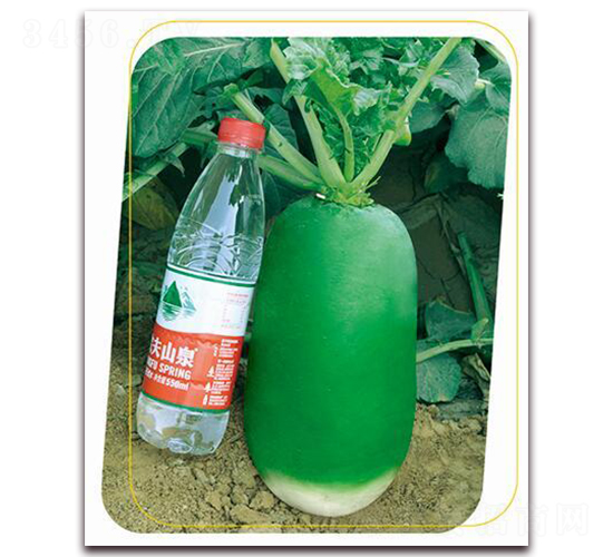 ����G�S-�}���N��-����(y��u)�r(n��ng)�I(y��)