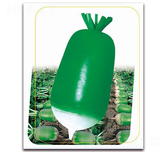 �G����-�}���N��-�����r�I