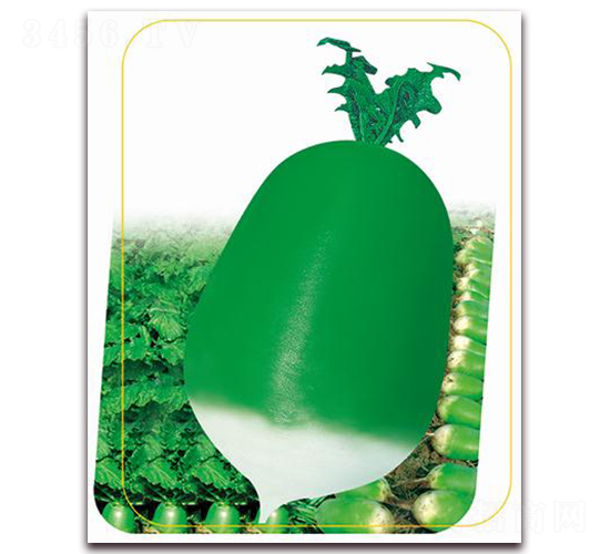 ����791-�}���N��-�����r�I