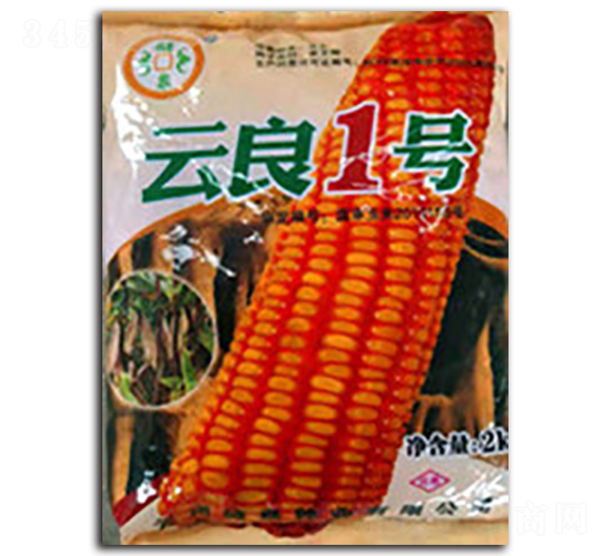 云良1號-儲泉種業