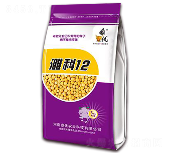 濉科12-大豆種子-鼎優農業
