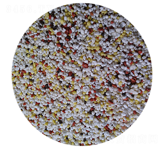 ���죨BB������-����