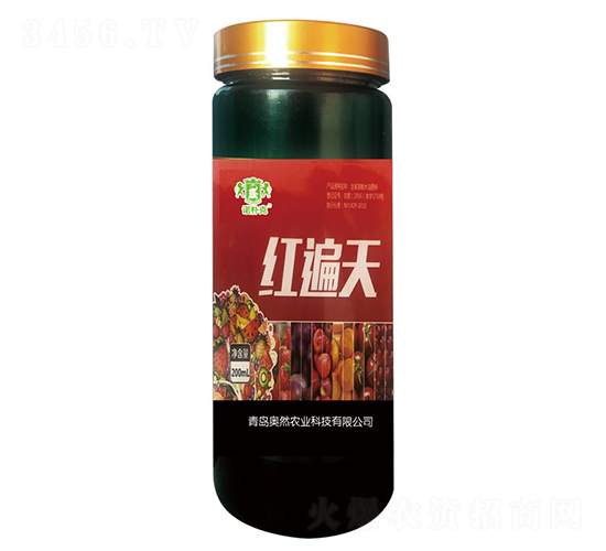 �t����-�Z���-�WȻ�r�I