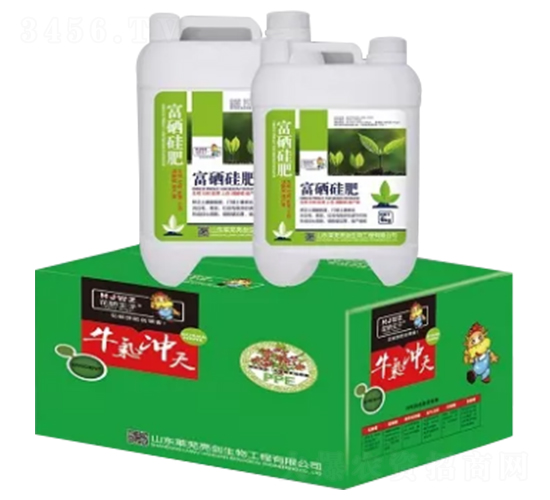 �������-�S�����B