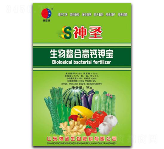 �������ϸ��}⛌�-��ʥ����