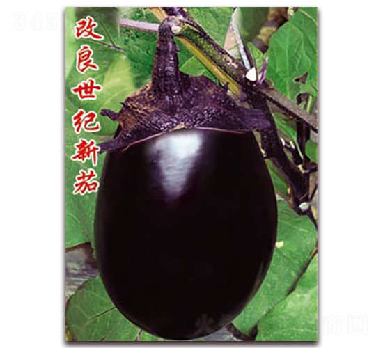 �������o����-���ӷN��-�ѹ��N�I